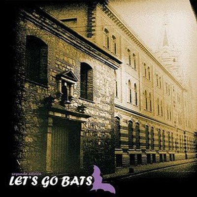 bat-2.jpg