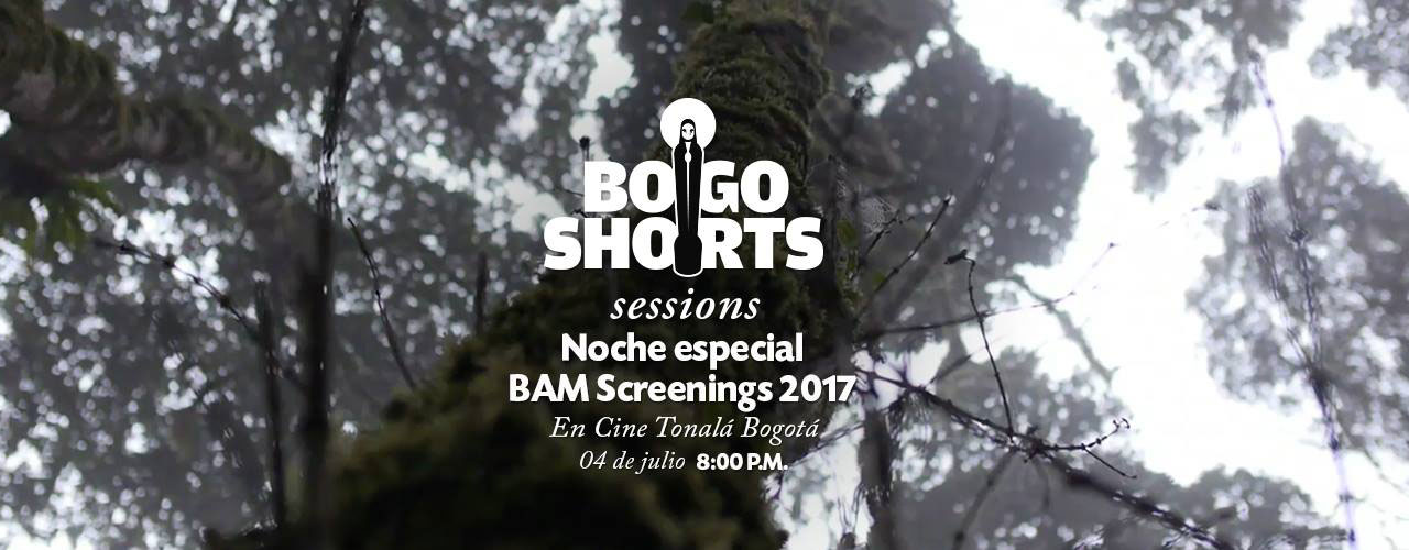 bogo-portada_5.jpg