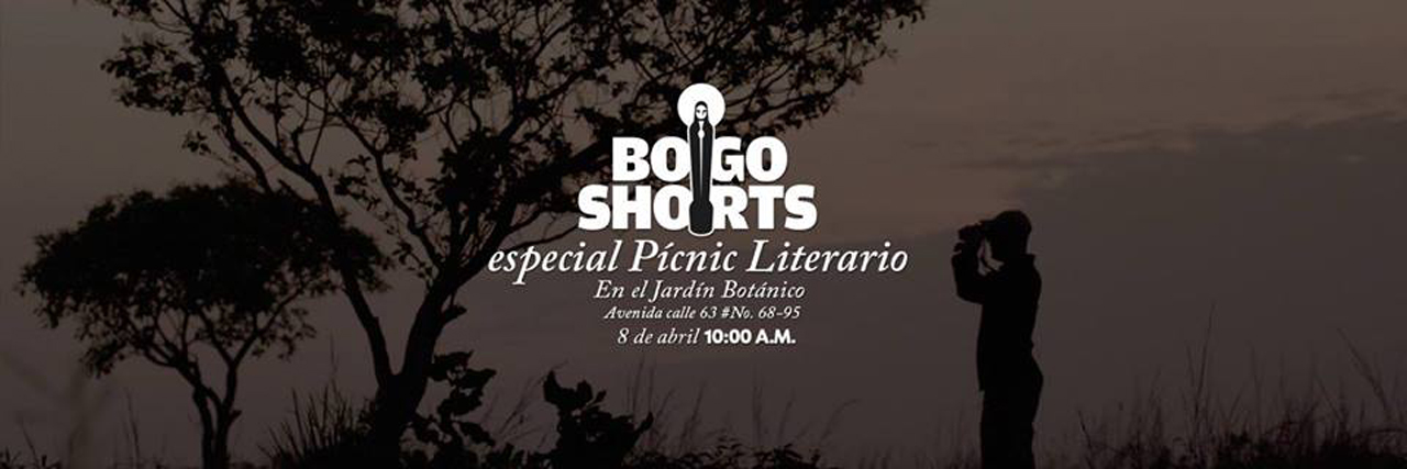 bogo1-flyer.jpg
