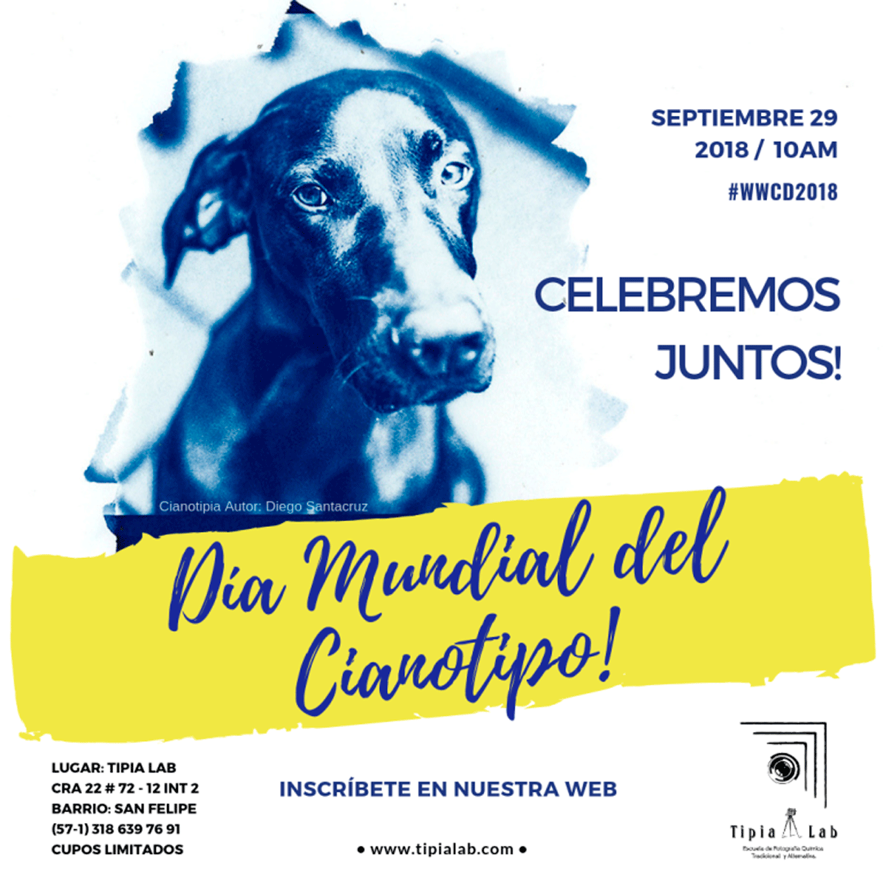 dog-flyer.png