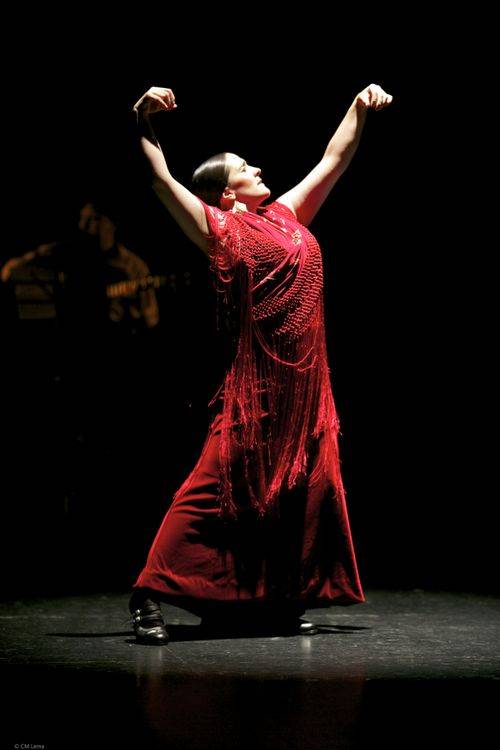 flamenco_2.jpg