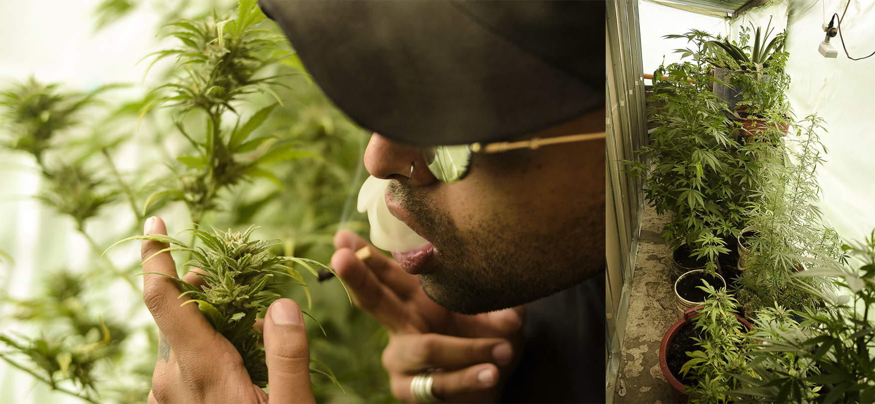 organico_5.jpg