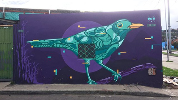 pajaro.jpg