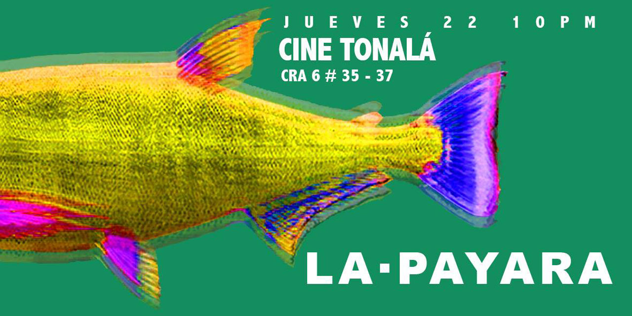 payara-flyer.jpg