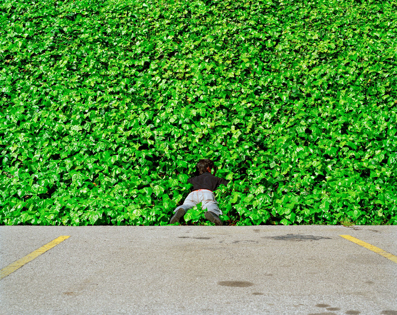 santiago-forero-self-portrait-02-a-story-about-gnomes.jpg