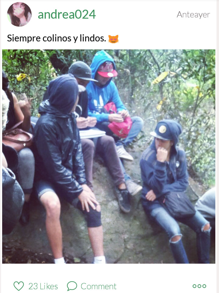 seis.jpg