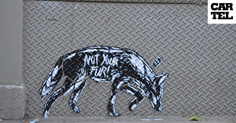 praxis bogota graffiti
