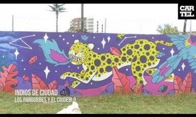 Colores para la Ciudad Blanca: Arte Urbano en Popayán