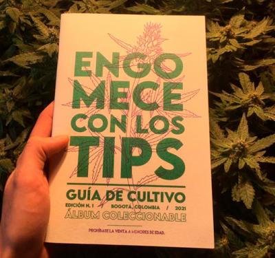 ‘Engomece con los tips’, una guía de autocultivo de cannabis para los consumidores conscientes  