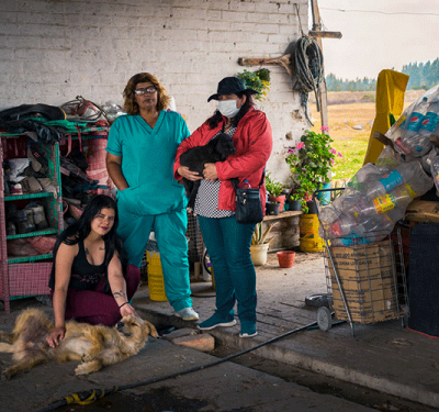 La labor de las proteccionistas de animales en Bosa