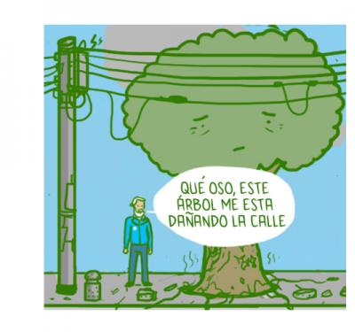 Zhaken: talar un árbol, sembrar un bolardo