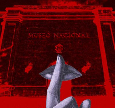 Desmonte de piezas del Museo Nacional: