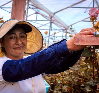 Flores en La Sabana: una mirada al oficio de las floristas  