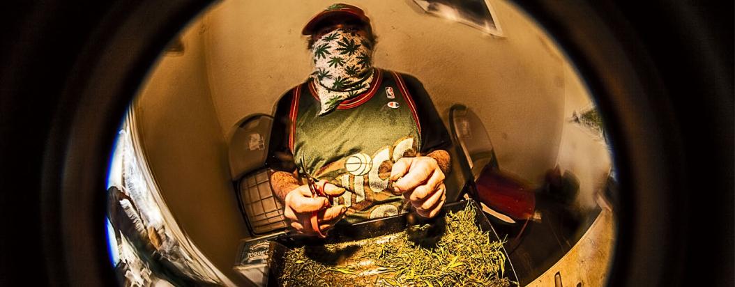 emerald triangle