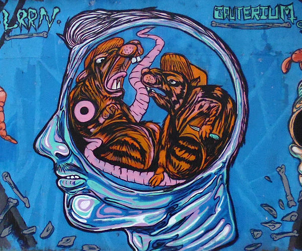 gruterium grafiti
