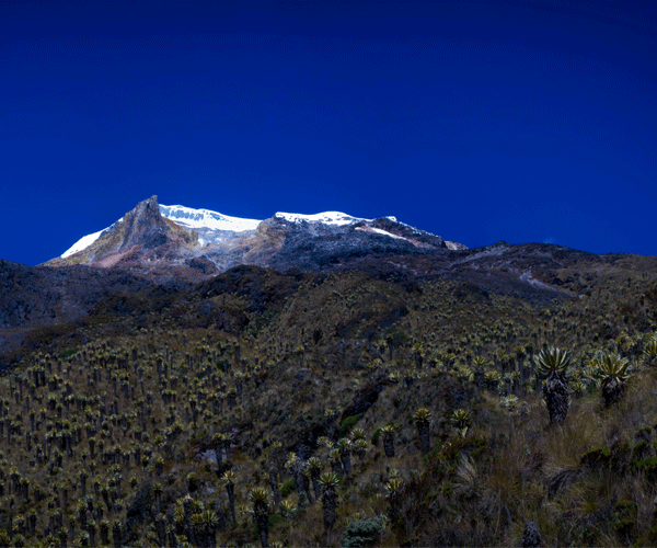 Parque de los Nevados, acampar