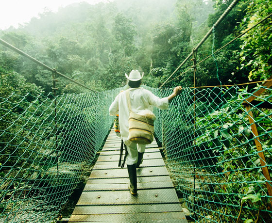 Conozca la Ciudad Perdida de la mano de los indígenas de la región