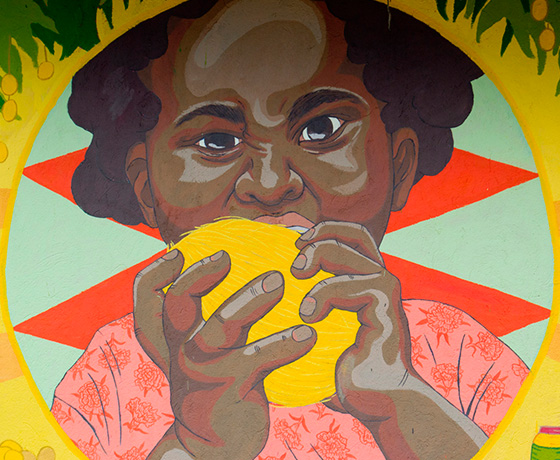 Mango Jam: soberanía alimentaria para indígenas y campesinas de la Sierra Nevada de Santa Marta