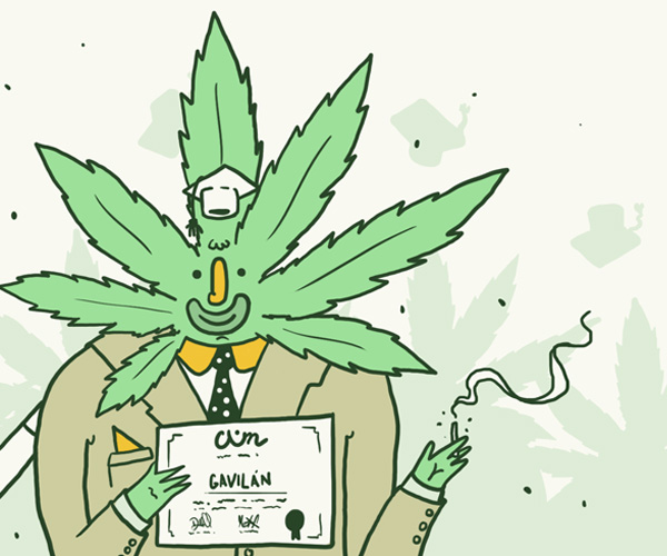 segundo diplomado cannábico de la CUN