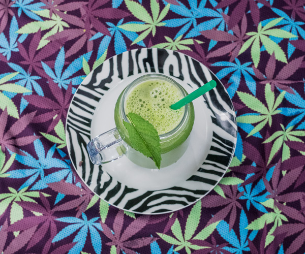 Cuadrada recetario cannabico