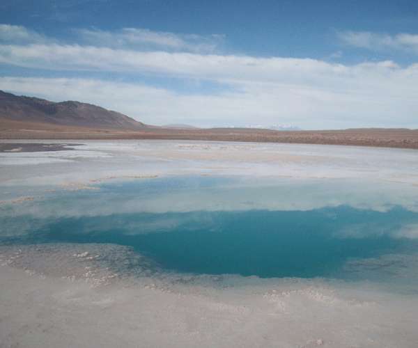 En los confines cordilleranos de la provincia argentina de Salta, Tolar Grande conoció la gloria y la muerte; más también la resurrección. Una historia sobre cuando el final del camino puede convertirse en un punto de partida. Este artículo hace parte de un intercambio entre revista LATE y Cartel Urbano.