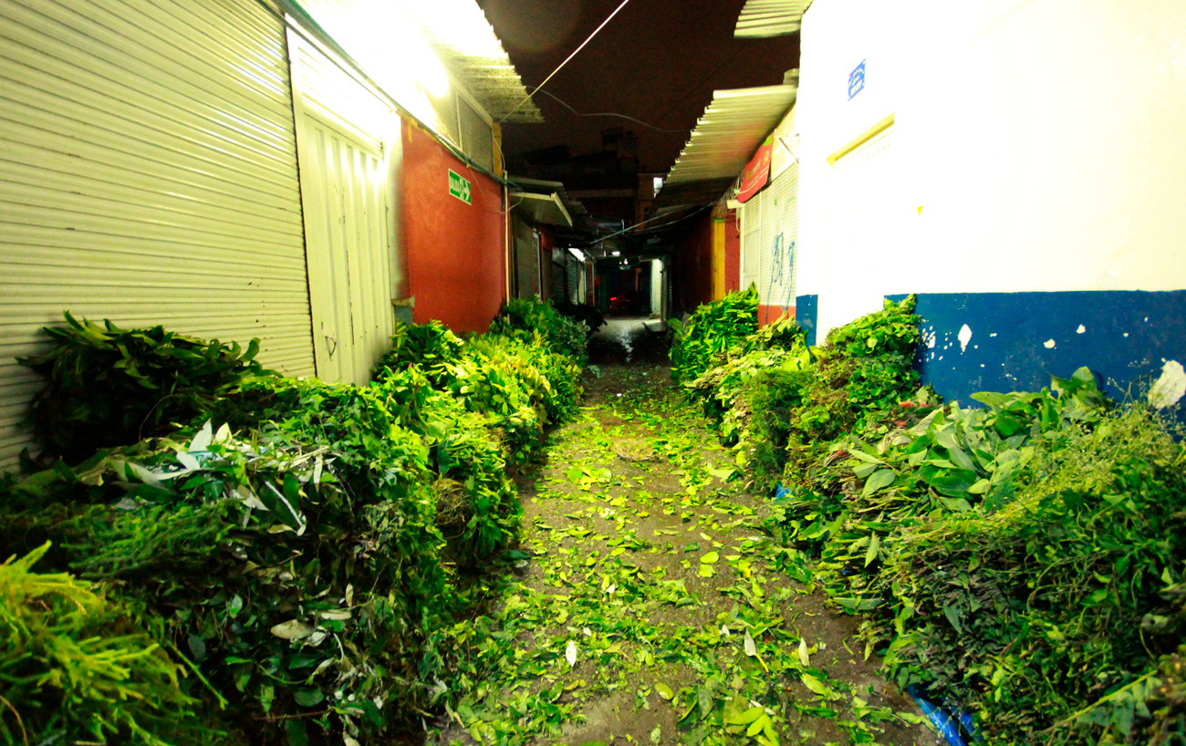 04_10.jpg