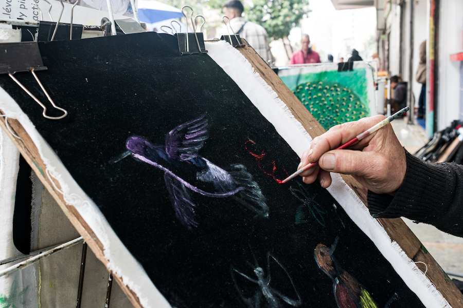 6.robertoacuna-artista-de-las-aves.jpg