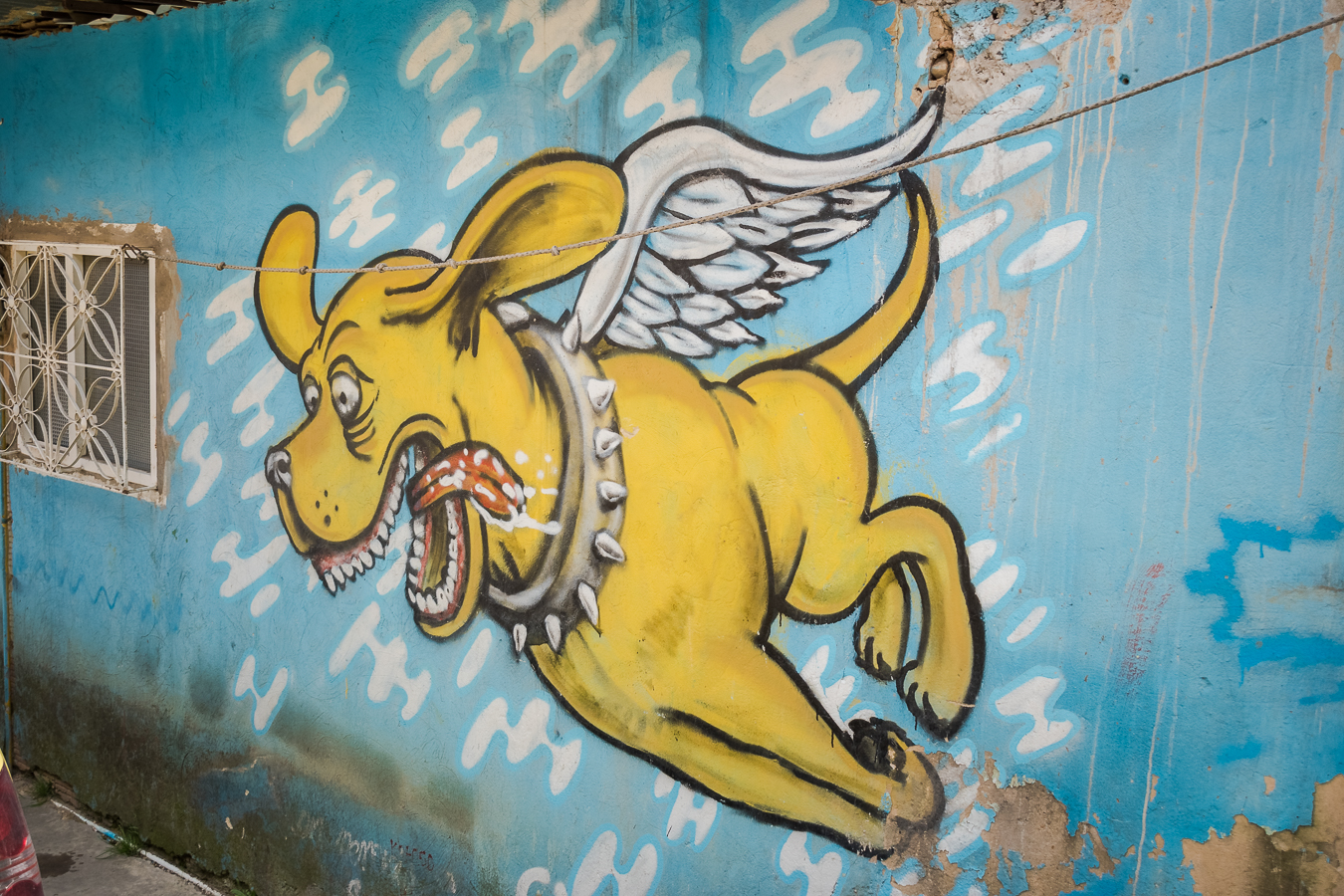 _dsc0164.jpg