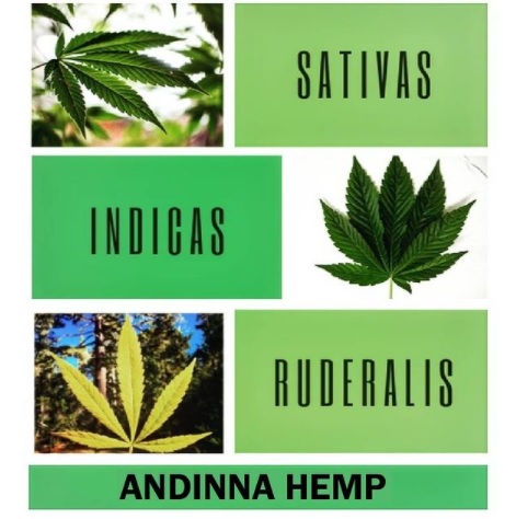 andinna_hemp.jpg