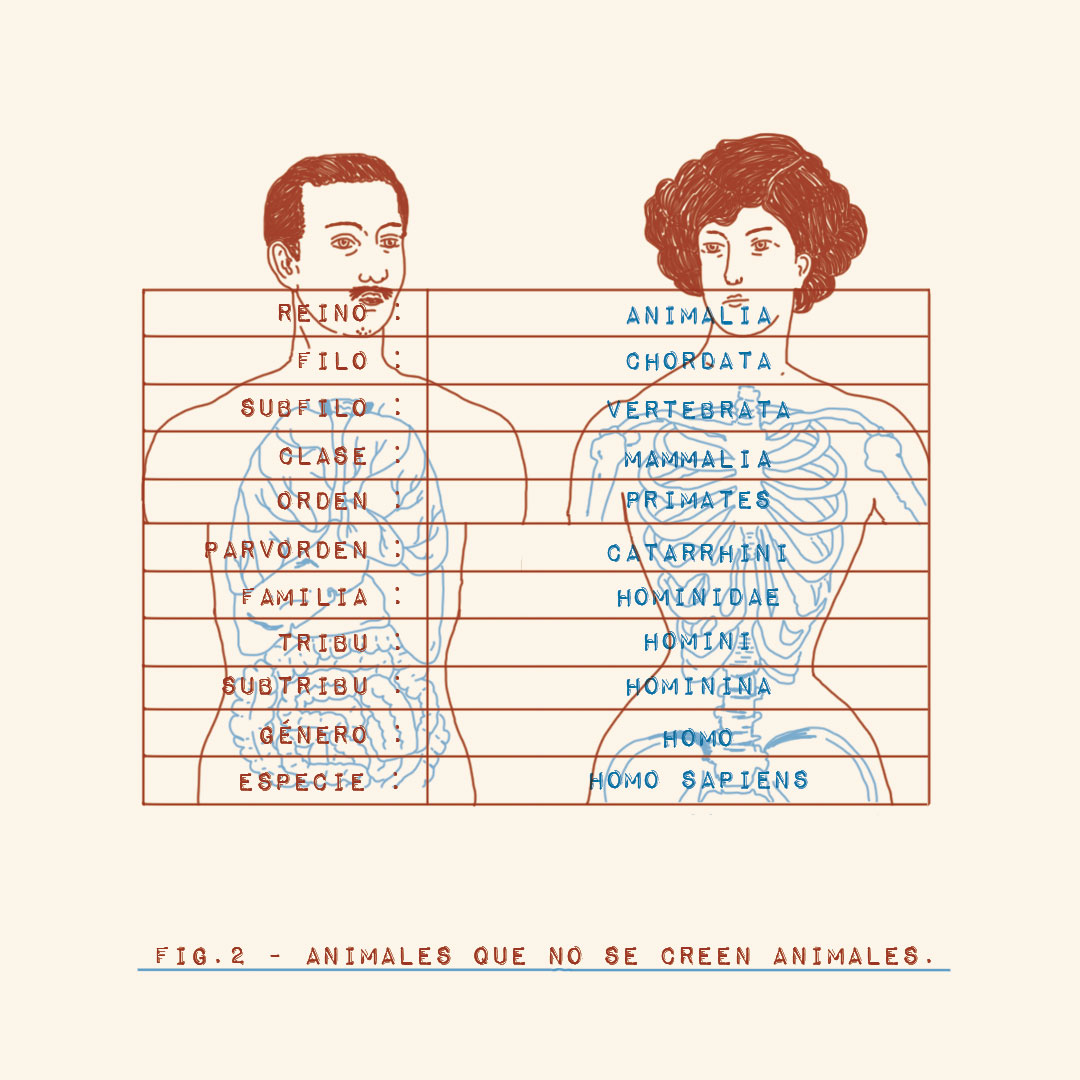 andrea-fig2.jpg