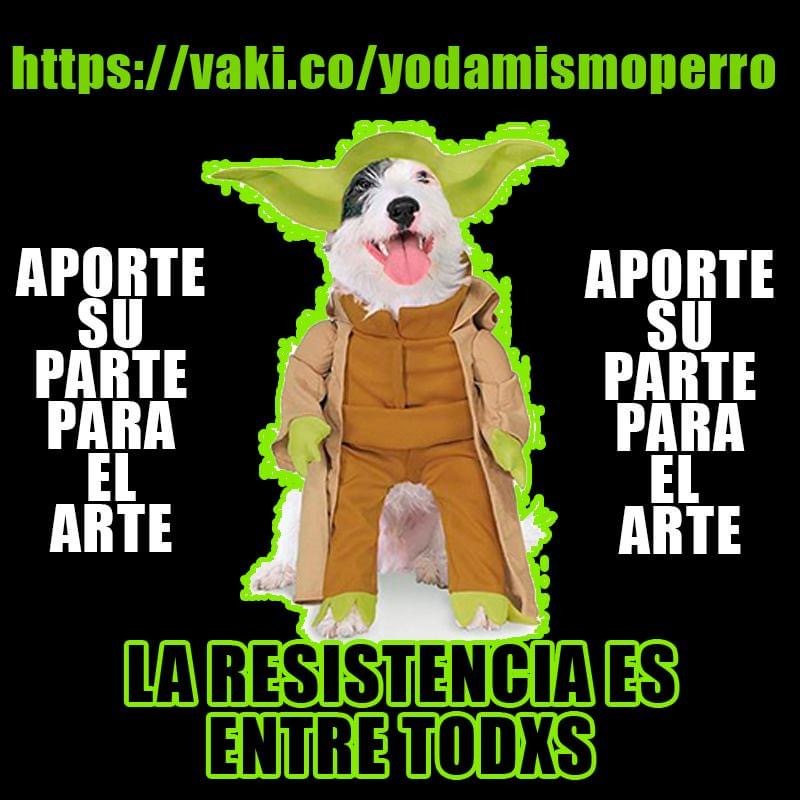 ayuda-yoda_y_mismoperro.jpg