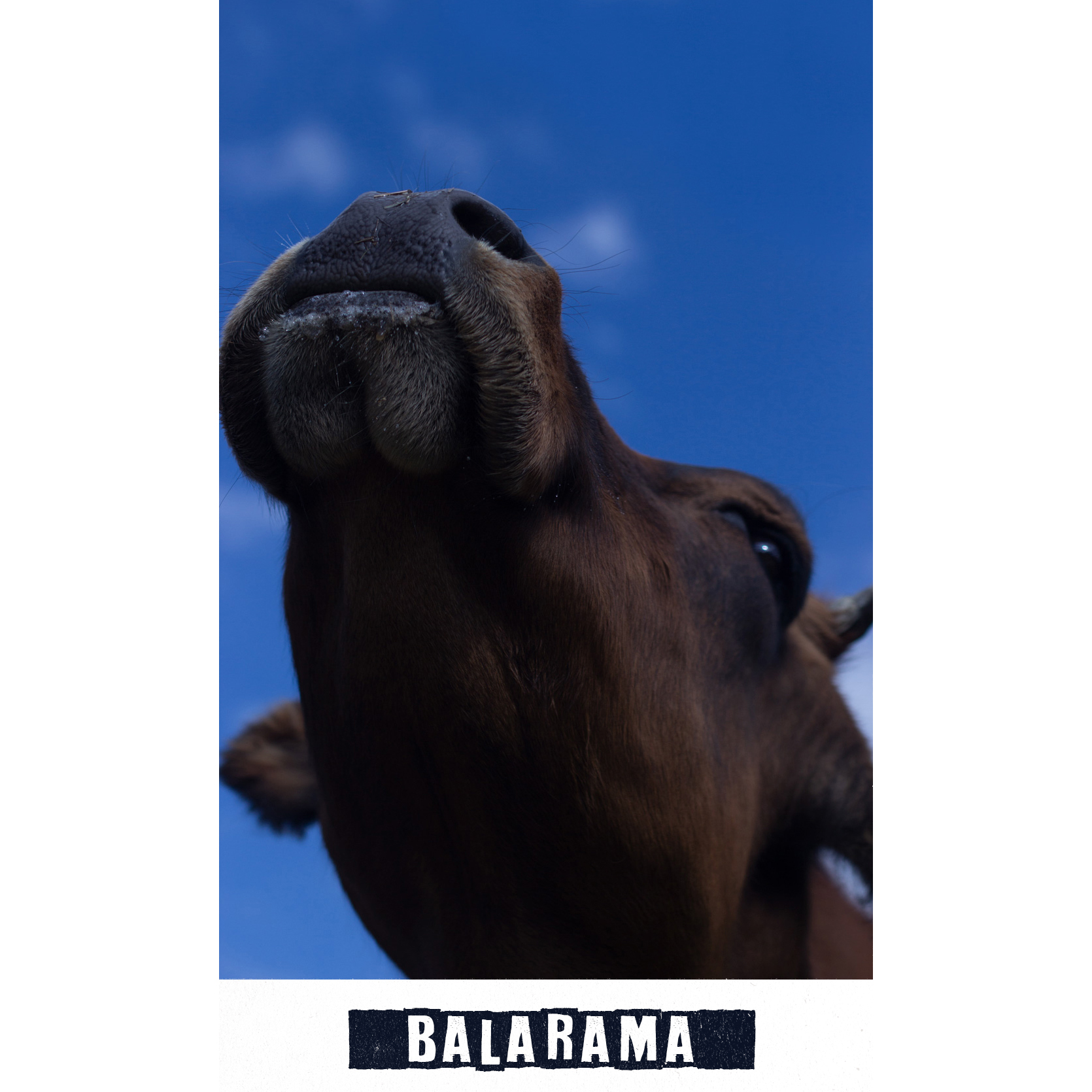 balarama.jpg