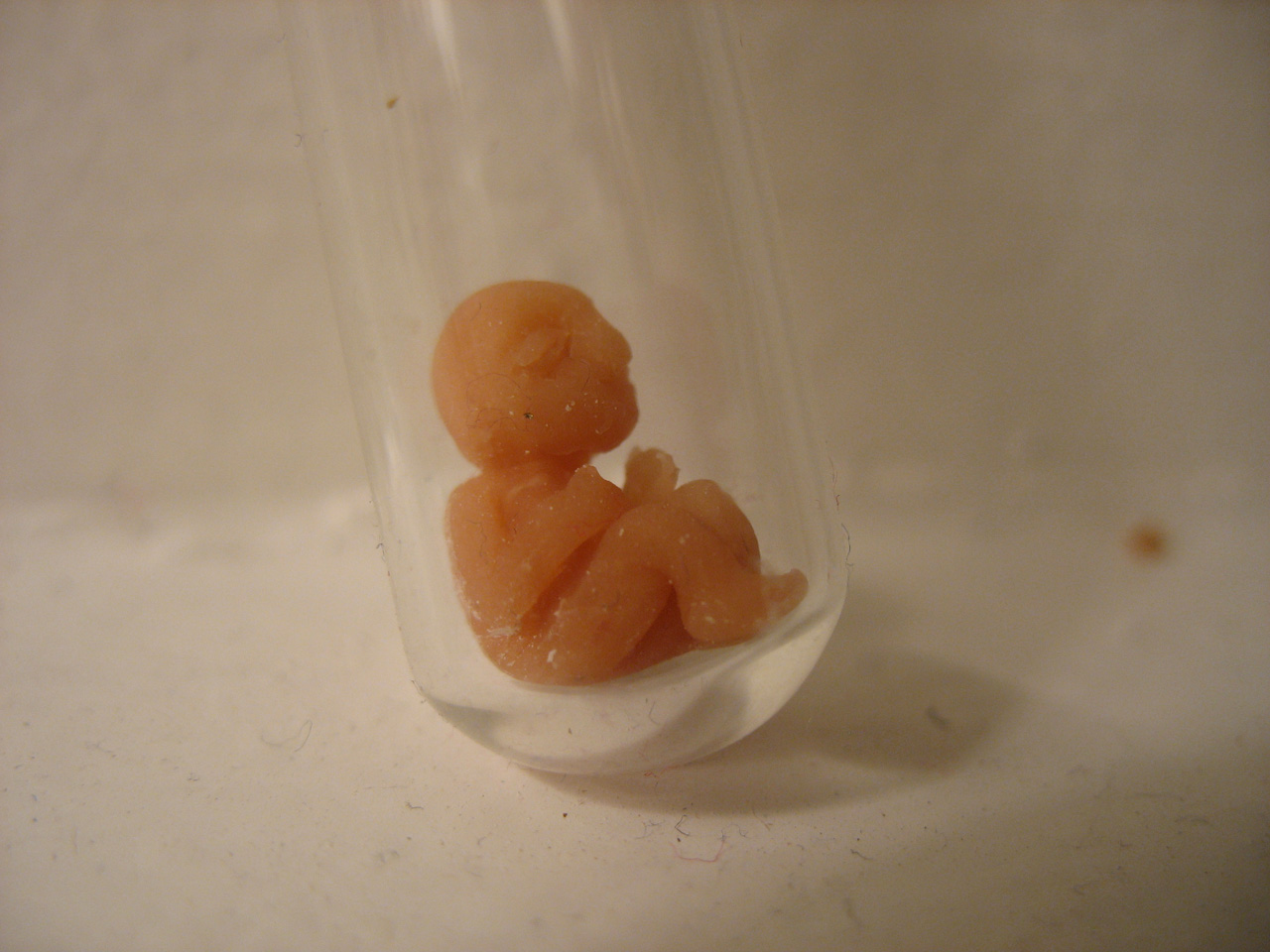 bebe-probeta_0.jpg