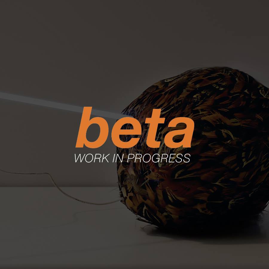 beta_0.jpg