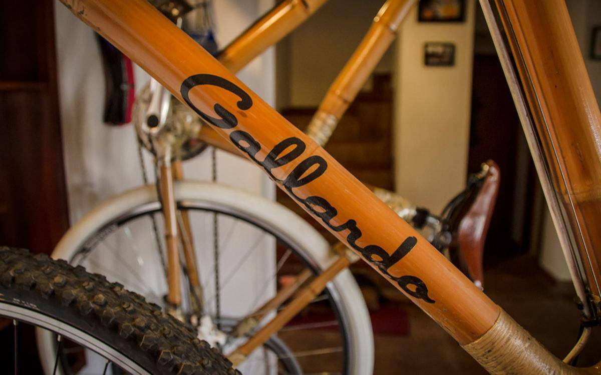 bici2.jpg