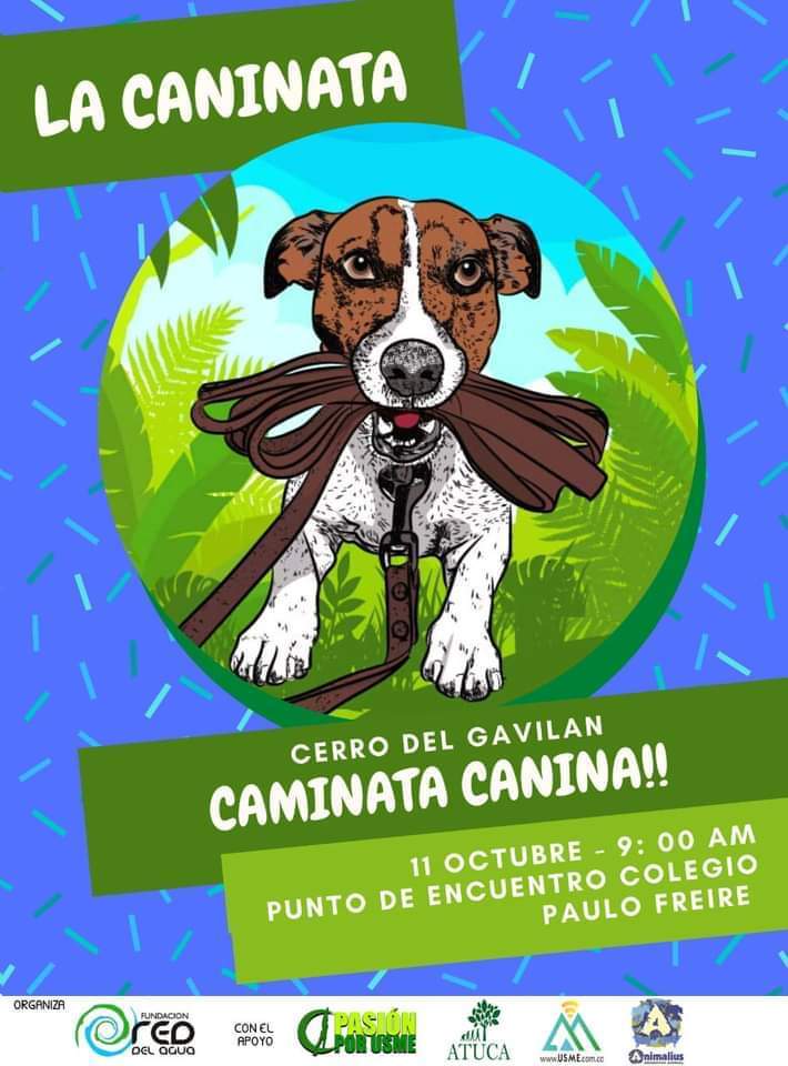 caminatacanina11.jpg