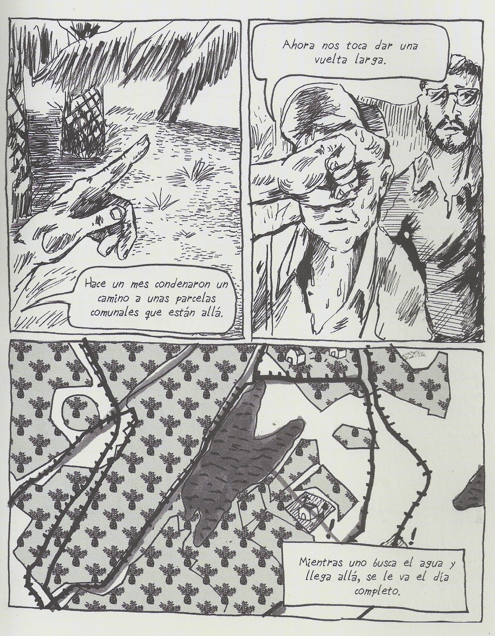 caminos_2.jpg