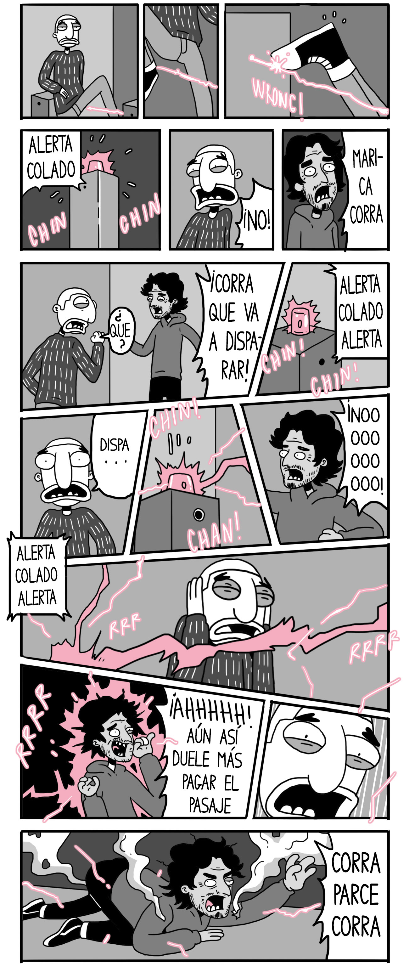 cscdp5_1.jpg