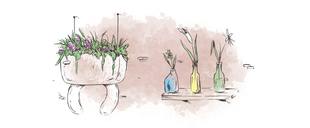 decoracion.jpg