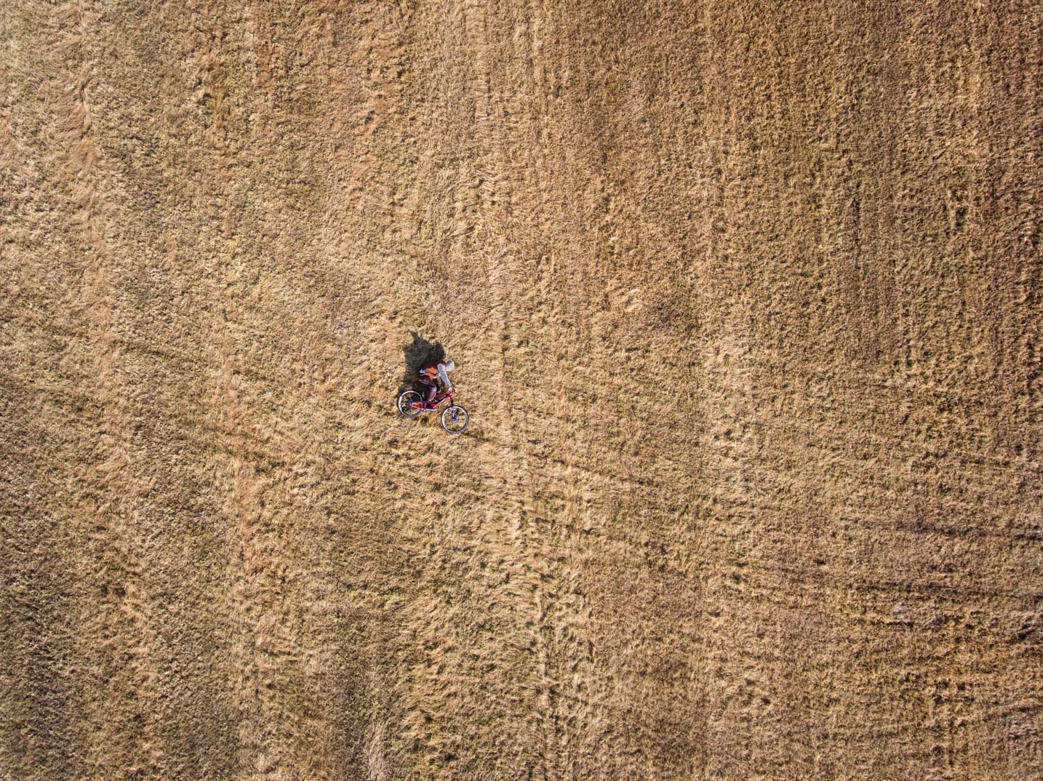 dji_0053.jpg