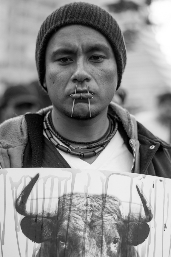 dsc_0705_0.jpg