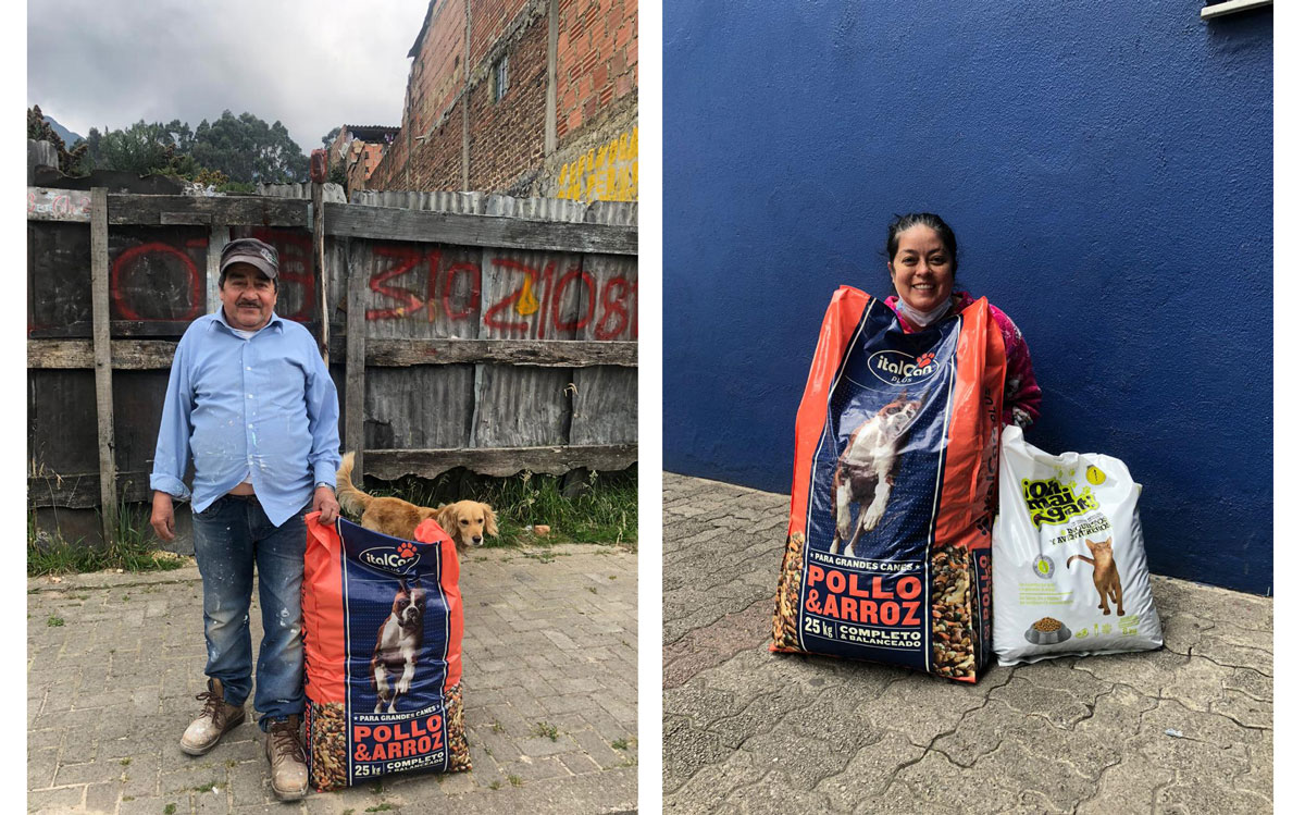 foticos-perritos.jpg