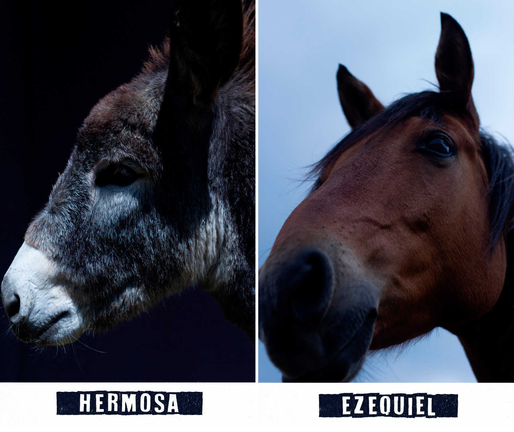hermosa-ezequiel.jpg
