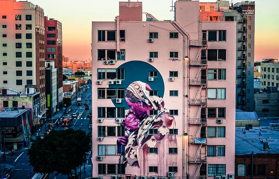 hopare-usa.jpg