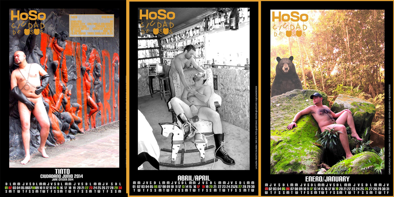 hoso_2014.jpg