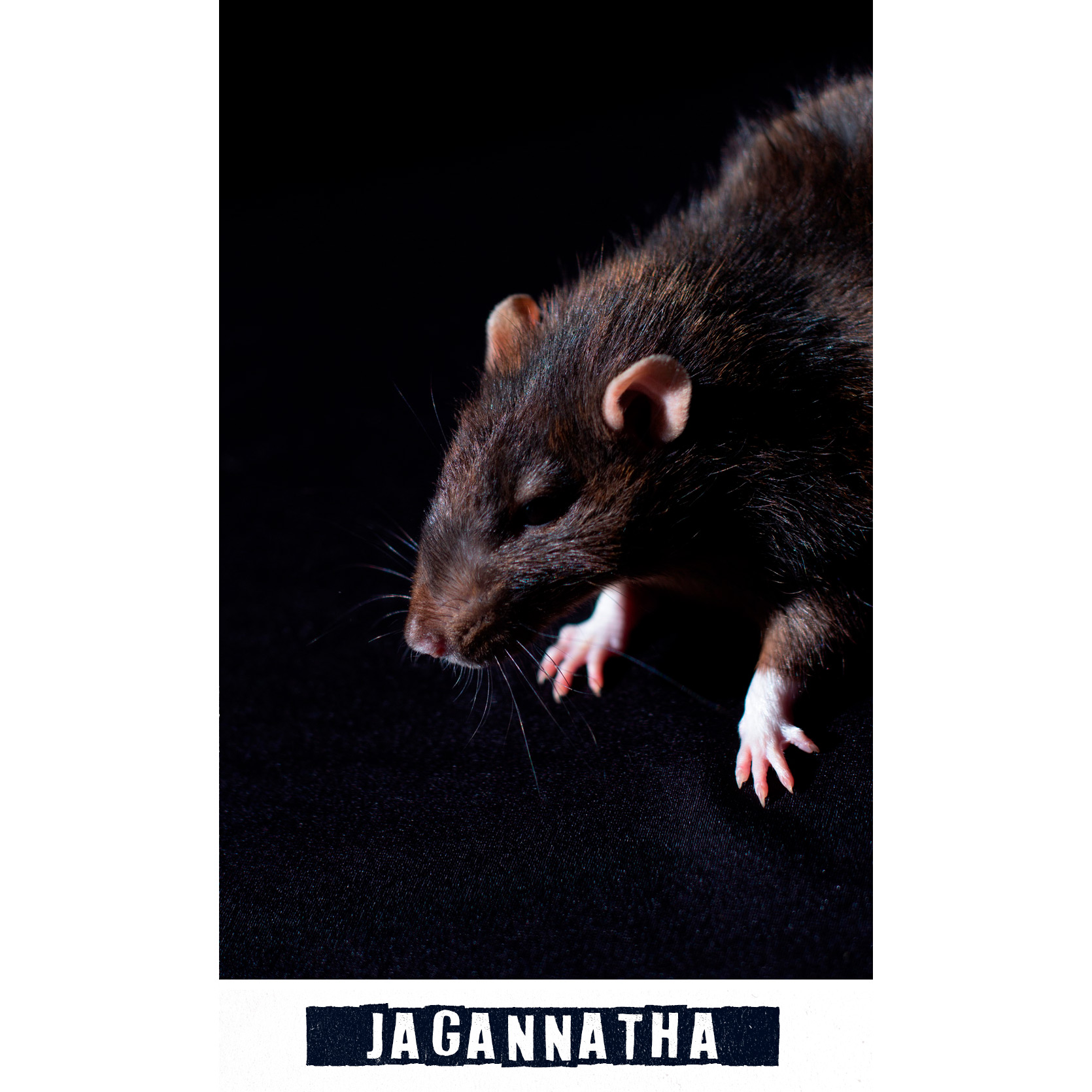 jagannatha.jpg