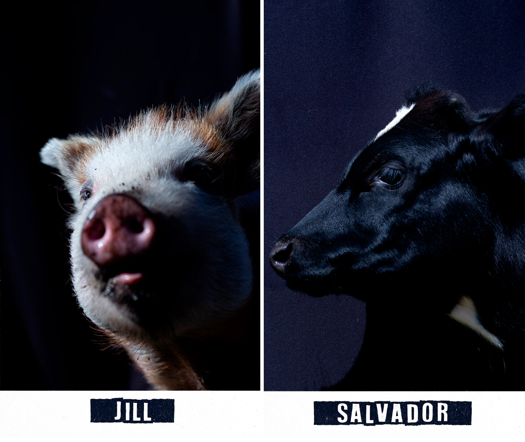 jill-salvador.jpg