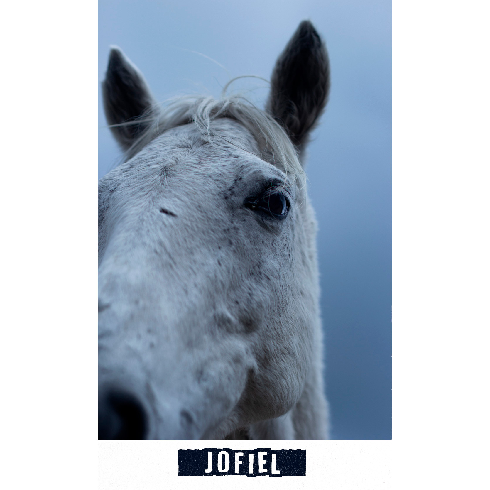 jofiel.jpg
