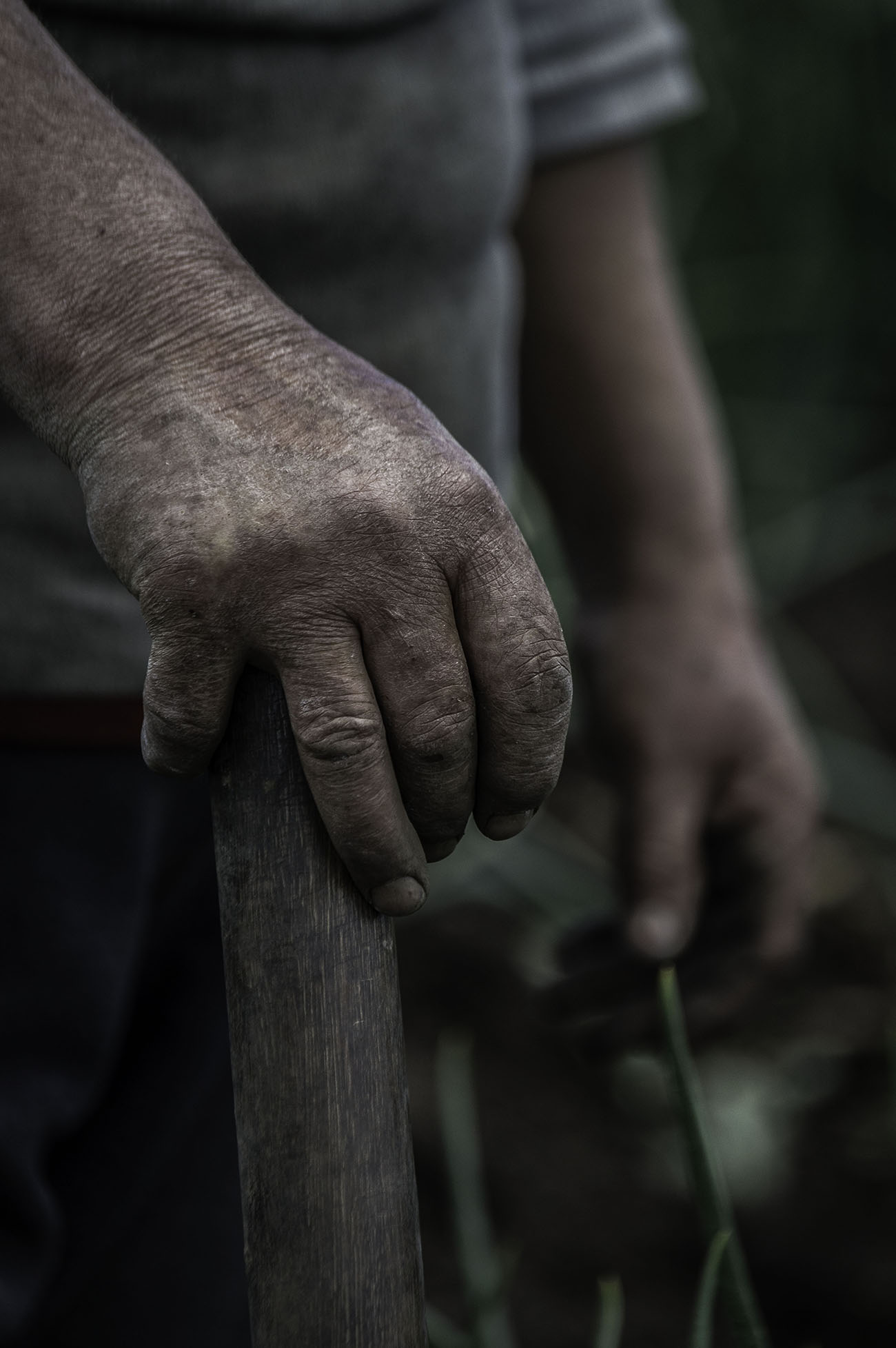 imagenes-de-manos-de-julia-campesina-colombiana.jpg