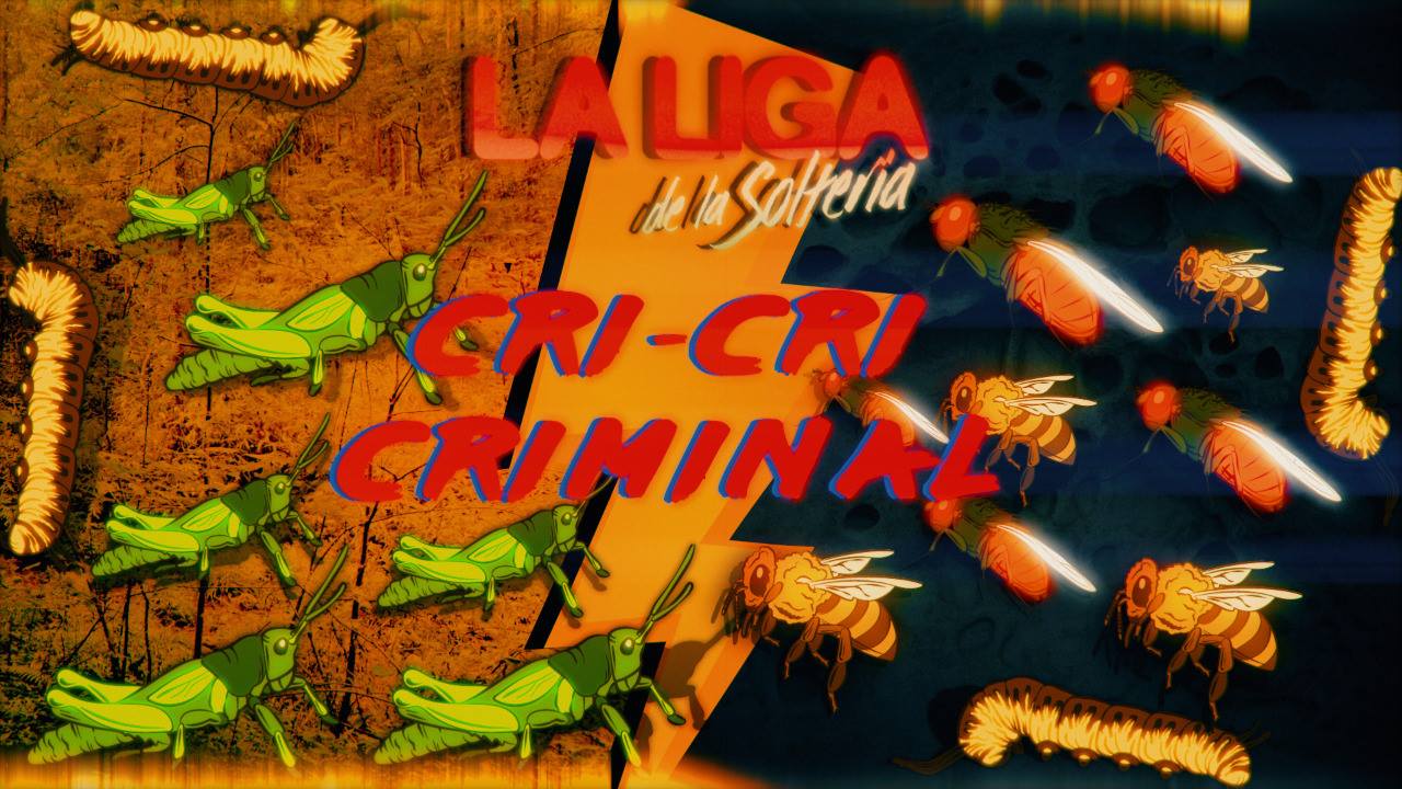 ligadelasolteria.jpg